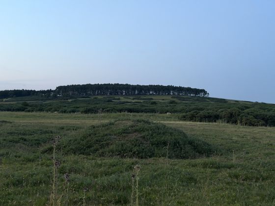 Curragh Bowl Barrows