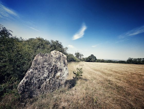 Lyneham Longbarrow (Long Barrow)