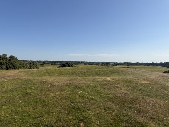 Curragh Stepped Barrow (Round Barrow)