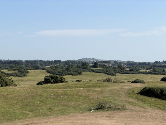 Curragh Stepped Barrow (Round Barrow)