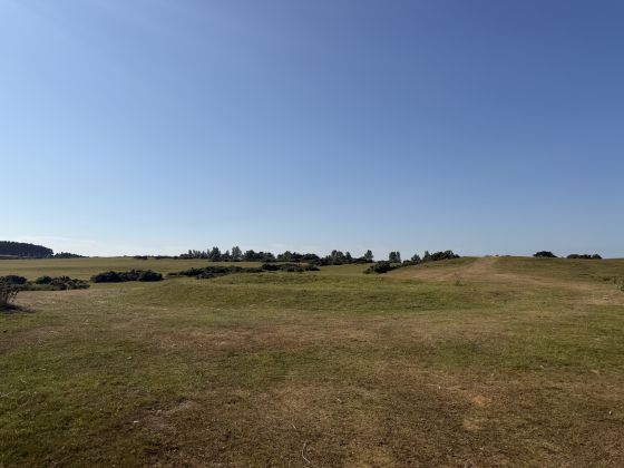 Curragh Stepped Barrow (Round Barrow)