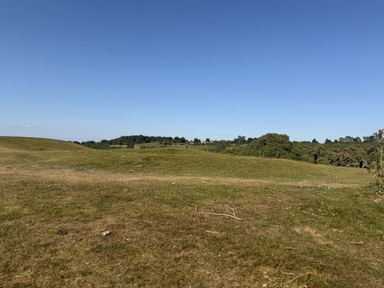 Curragh Stepped Barrow (Round Barrow)
