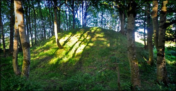Rath Airthir (Round Barrow(s))