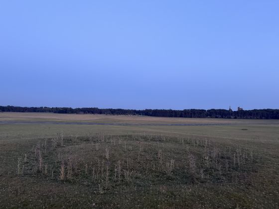Curragh Ring Barrow 2 (Round Barrow(s))