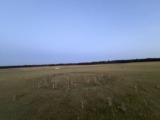 Curragh Ring Barrow 2 (Round Barrow(s))