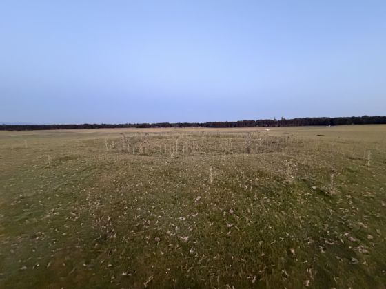 Curragh Ring Barrow 2 (Round Barrow(s))