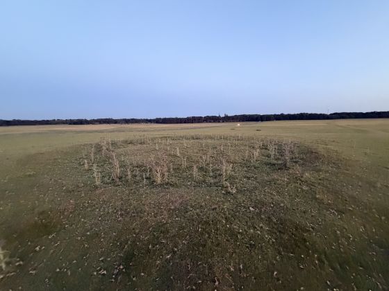 Curragh Ring Barrow 2 (Round Barrow(s))