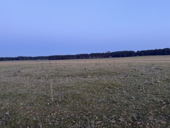 Curragh Mound Barrow (Round Barrow)