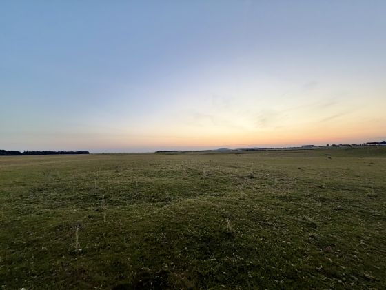 Curragh Mound Barrow (Round Barrow)