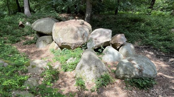 Blankensee (Passage Grave)