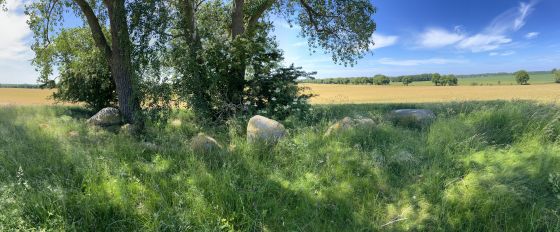 Blengow (Long Barrow)