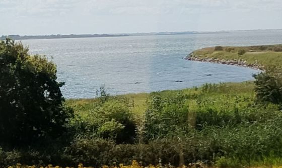 Siø Dyssen (Dyssekammer)