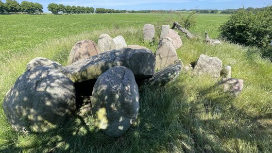 Gaarzer Hof 1 (Passage Grave)