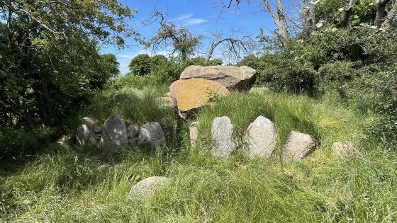Gaarzer Hof 2 (Dolmen / Quoit / Cromlech)