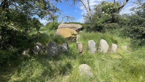 Gaarzer Hof 2 (Dolmen / Quoit / Cromlech)