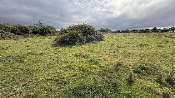 Killimor (Court Tomb)