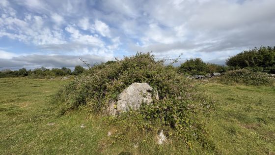 Killimor (Court Tomb)