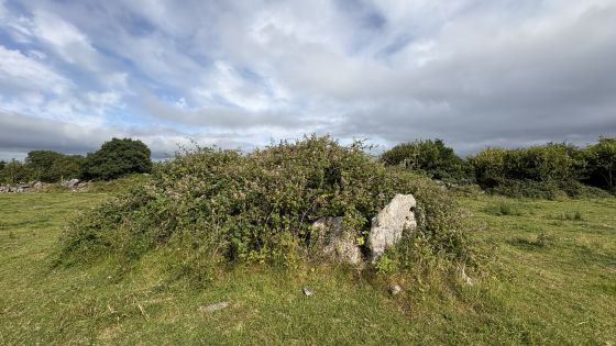 Killimor (Court Tomb)
