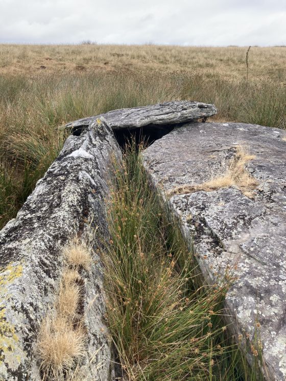 Carn Llechart Burial Chamber (Chambered Tomb)