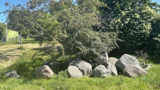Neu Gaarz 1 (Passage Grave)