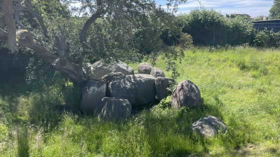 Neu Gaarz 1 (Passage Grave)