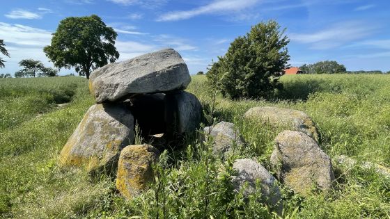 Neu Gaarz 2 (Dolmen / Quoit / Cromlech)