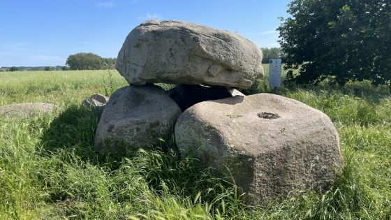 Neu Gaarz 2 (Dolmen / Quoit / Cromlech)