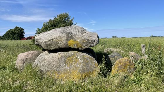 Neu Gaarz 2 (Dolmen / Quoit / Cromlech)