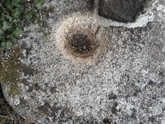 Kilgobbin (Bullaun Stone)
