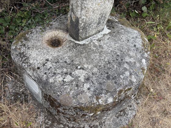 Kilgobbin (Bullaun Stone)