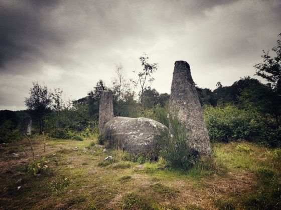 Cothiemuir Wood (Stone Circle)