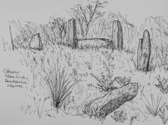 Cothiemuir Wood (Stone Circle)