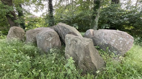 Hohen Niendorf 2 (Dolmen / Quoit / Cromlech)