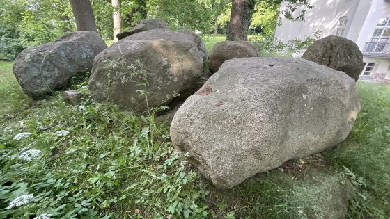 Hohen Niendorf 2 (Dolmen / Quoit / Cromlech)
