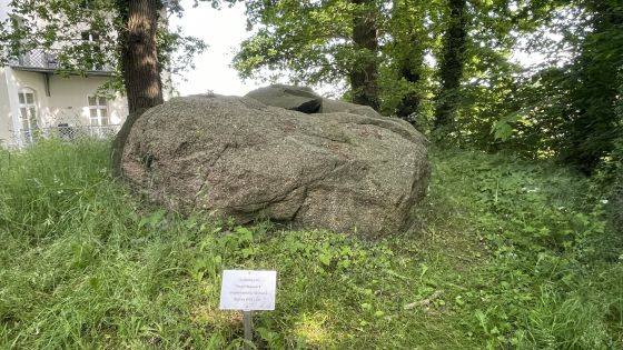 Hohen Niendorf 2 (Dolmen / Quoit / Cromlech)