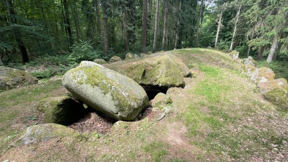 Everstorfer Forst Süd 1 (Passage Grave)
