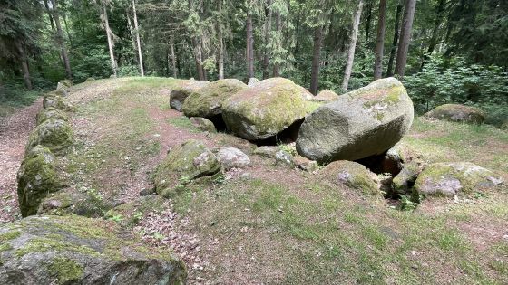 Everstorfer Forst Süd 1 (Passage Grave)