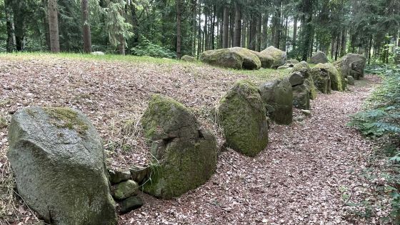Everstorfer Forst Süd 1 (Passage Grave)