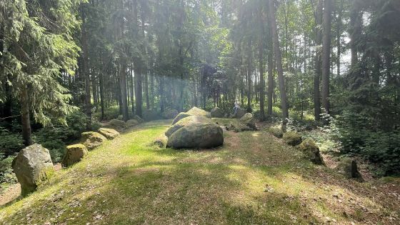 Everstorfer Forst Süd 1 (Passage Grave)