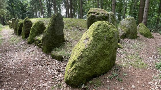Everstorfer Forst Süd 1 (Passage Grave)