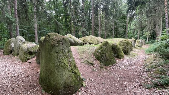 Everstorfer Forst Süd 1 (Passage Grave)