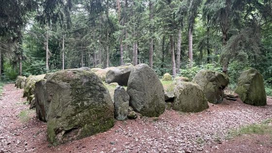 Everstorfer Forst Süd 1 (Passage Grave)