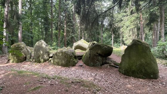 Everstorfer Forst Süd 1 (Passage Grave)