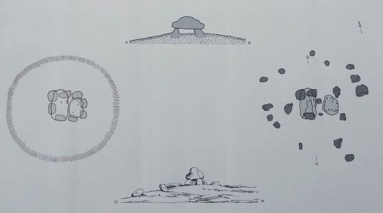 Everstorfer Forst Süd 2 (Dolmen / Quoit / Cromlech)