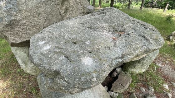 Everstorfer Forst Süd 2 (Dolmen / Quoit / Cromlech)