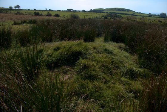 Moel Ednyfed (North) (Burnt Mound / Fulacht Fia)