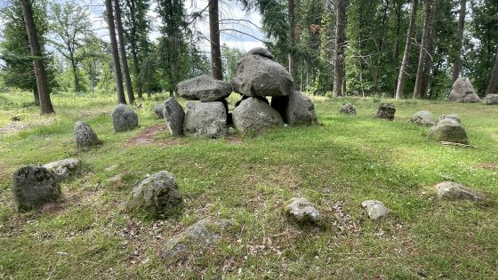Everstorfer Forst Süd 2 (Dolmen / Quoit / Cromlech)