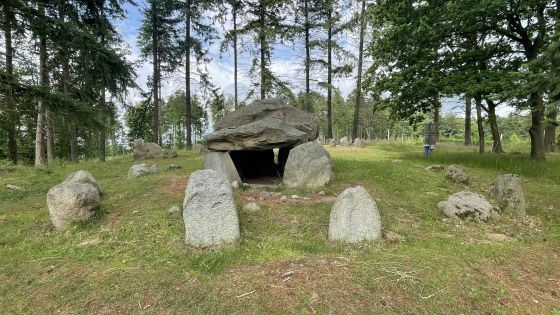 Everstorfer Forst Süd 2 (Dolmen / Quoit / Cromlech)