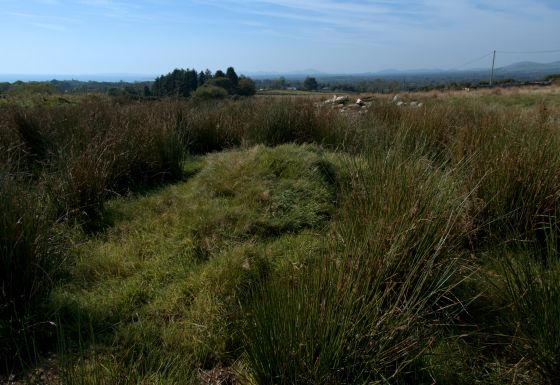 Moel Ednyfed (North) (Burnt Mound / Fulacht Fia)