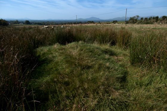 Moel Ednyfed (North) (Burnt Mound / Fulacht Fia)